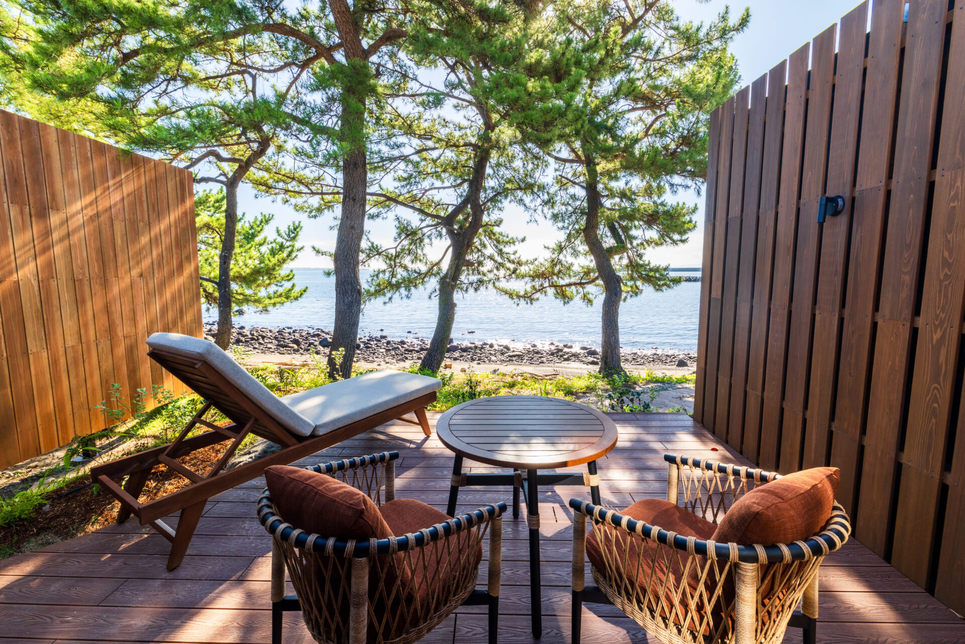 スタンダードキング